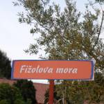 NTK večerna zabava - Osmica 2