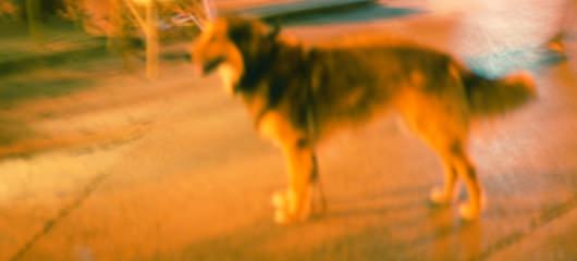 blurred-photos-04.jpg
