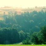 Čemšeniška planina v soboto zjutraj 1