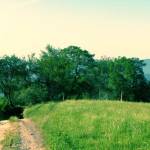 Čemšeniška planina v soboto zjutraj 4