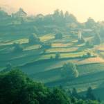 Čemšeniška planina v soboto zjutraj 7
