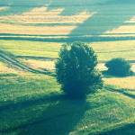 Čemšeniška planina v soboto zjutraj 9