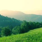 Čemšeniška planina v soboto zjutraj 10