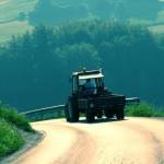 Čemšeniška planina v soboto zjutraj 15