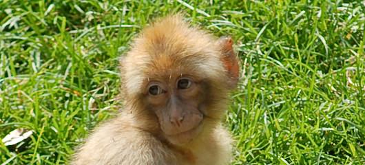 parco-natura-viva-zivalski-vrt-fotografije-017.jpg