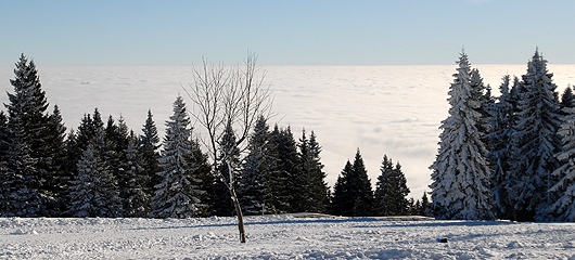 hoja-nad-oblaki-v-ritmu-malih-angelov-fotografije-01.jpg