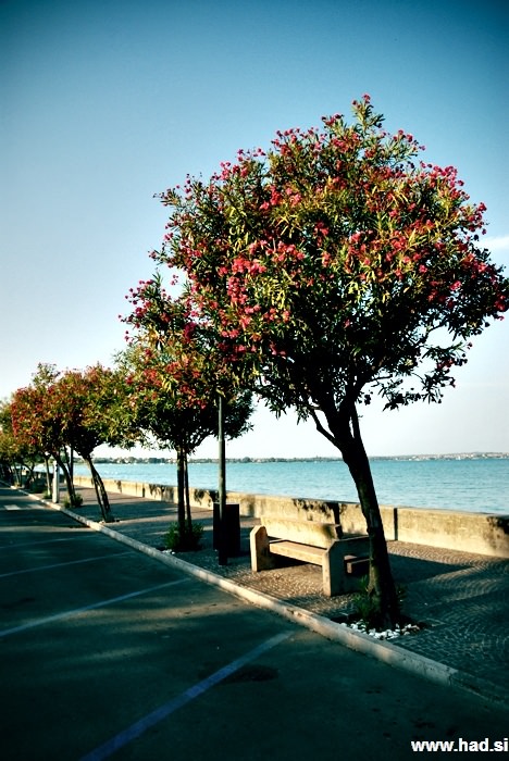 lago-di-garda-sirmione-13