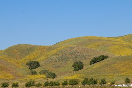 California State Route photos 12
