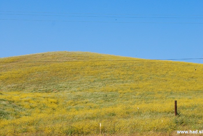 California State Route photos 14