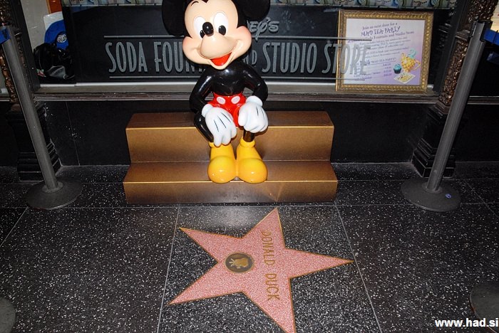 Hollywood Walk of Fame Photos 01