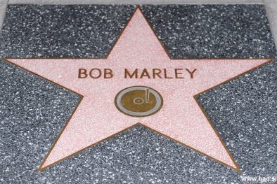 Hollywood Walk of Fame Photos 07