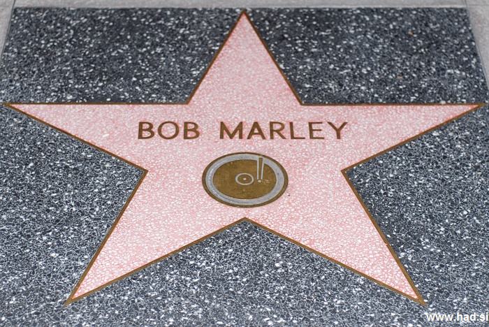 Hollywood Walk of Fame Photos 07