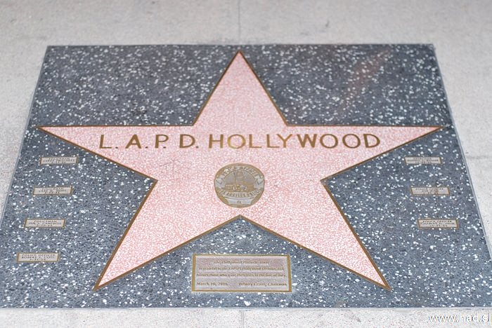 Hollywood Walk of Fame Photos 08