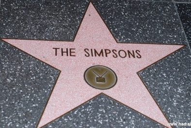 Hollywood Walk of Fame Photos 13