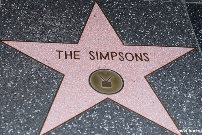 Hollywood Walk of Fame Photos 13