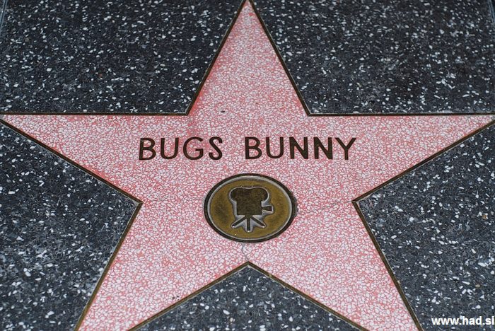 Hollywood Walk of Fame Photos 14