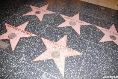 Hollywood Walk of Fame Photos 16