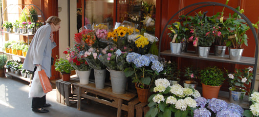 aix en provence photos