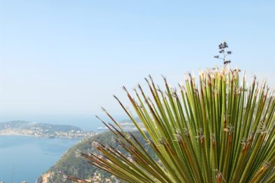 le_jardin_exotique_eze_02
