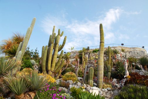 le_jardin_exotique_eze_07