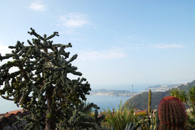 le_jardin_exotique_eze_08