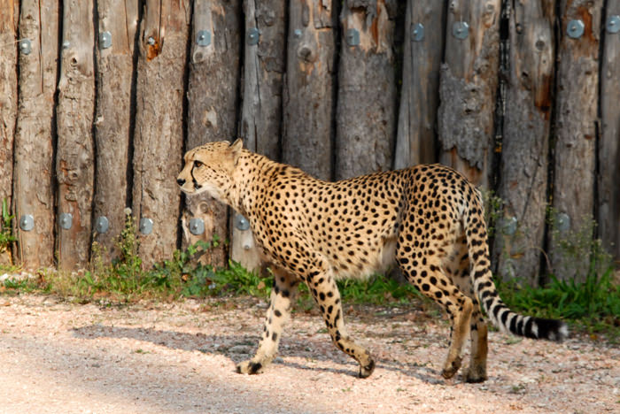 parco_natura_viva_21
