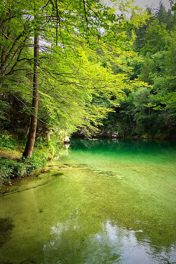 bohinjsko_jezero_001