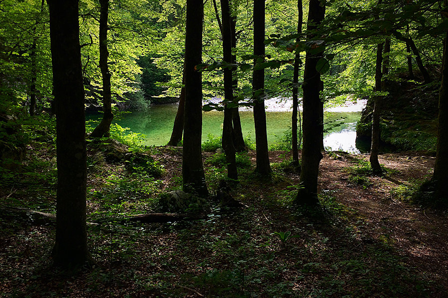 bohinjsko_jezero_006