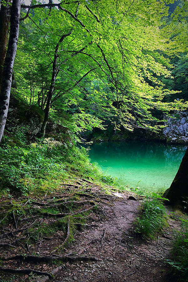 bohinjsko_jezero_008