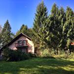 Lumberjack / podiranje smrek