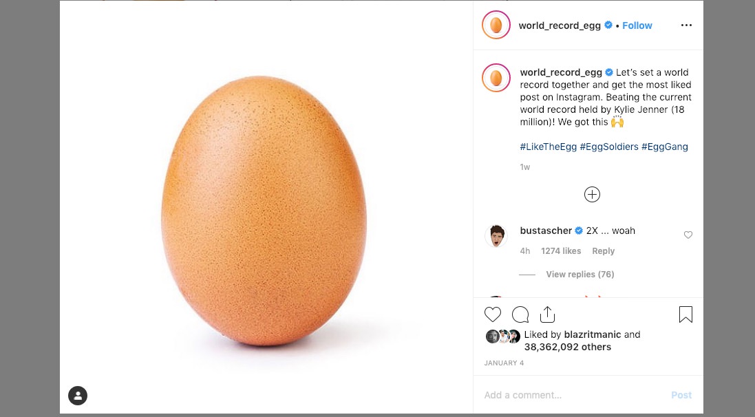 world record egg
