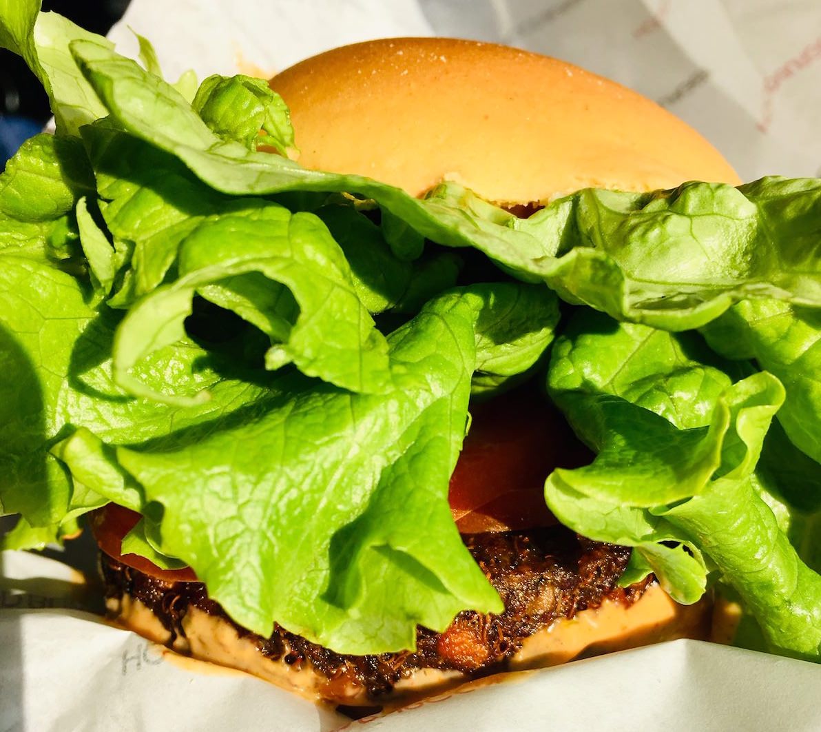 Hood Burger vegan burger Vegan Hood 6
