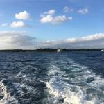 Chefs Stage 2019 Sibenik23
