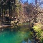 Skok v izvir Ljubljanice Mocilnik 8 stopinj1