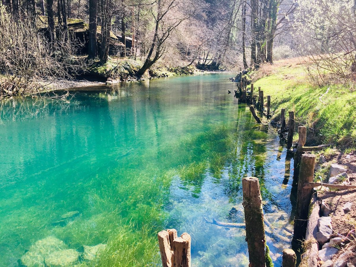 Skok v izvir Ljubljanice Mocilnik 8 stopinj2
