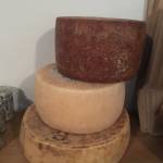 Kras Carso Food Tour 10