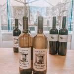 Kras Carso Food Tour 17