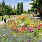 Otok Mainau otok roz metuljev in neokrnjene narave12