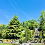 Otok Mainau otok roz metuljev in neokrnjene narave16