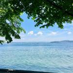 Otok Mainau otok roz metuljev in neokrnjene narave17