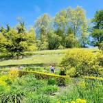 Otok Mainau otok roz metuljev in neokrnjene narave21