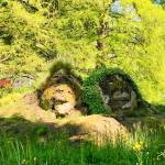 Otok Mainau otok roz metuljev in neokrnjene narave22