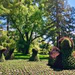 Otok Mainau otok roz metuljev in neokrnjene narave24