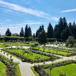 Otok Mainau otok roz metuljev in neokrnjene narave9