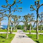 Kimsko jezero Chiemsee z ladjo do Herreninsel in Fraueninsel iz Prien am Chiemsee8