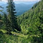 Kam v hribe Visevnik 2050m z Rudnega polja 50 minut vzpona11