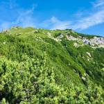 Kam v hribe Visevnik 2050m z Rudnega polja 50 minut vzpona12