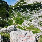 Kam v hribe Visevnik 2050m z Rudnega polja 50 minut vzpona3