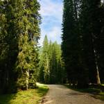 Kam v hribe Visevnik 2050m z Rudnega polja 50 minut vzpona7
