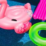 Napihljivi flamingi labodi samorogi in ostala plasticna navlaka ob bazenih in v morju